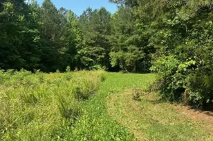 300 Christmas Rd, Warrenton, NC 27589 - Photo 27