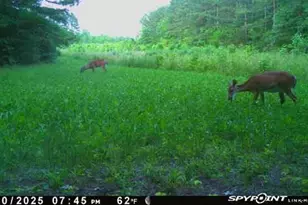 300 Christmas Rd, Warrenton, NC 27589 - Photo 21