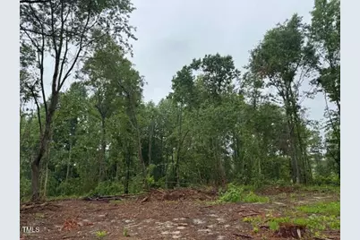 0 Beasley Road, Benson, NC 27504 - Photo 37