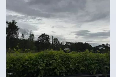 0 Beasley Road, Benson, NC 27504 - Photo 3