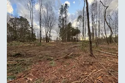 0 Beasley Road, Benson, NC 27504 - Photo 35