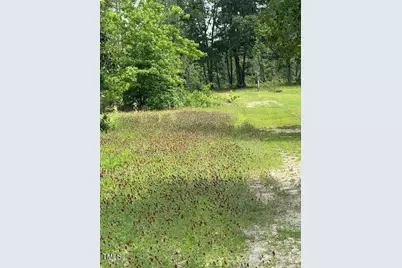 0 Beasley Road, Benson, NC 27504 - Photo 41