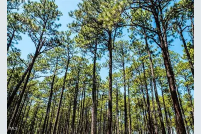 0 Boone Circle, Sanford, NC 27330 - Photo 3