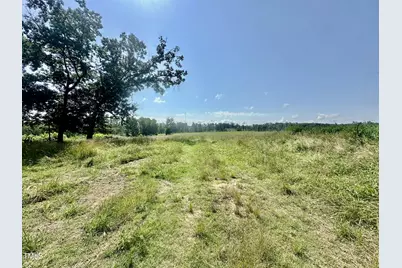 Lot 1 Jones Road, Hurdle Mills, NC 27541 - Photo 7