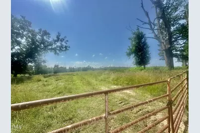 Lot 1 Jones Road, Hurdle Mills, NC 27541 - Photo 11