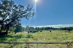 Lot 1 Jones Rd, Hurdle Mills, NC 27541 - Photo 1