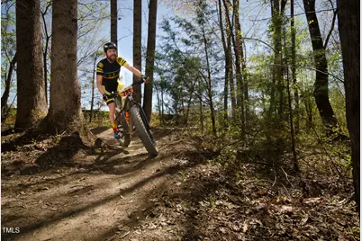 528 Folk Song Way, Wendell, NC 27591 - Photo 45