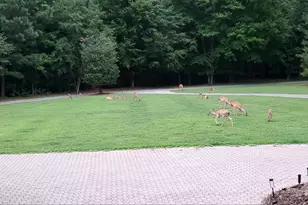 1004 Buttar Ln, Raleigh, NC 27614 - Photo 73