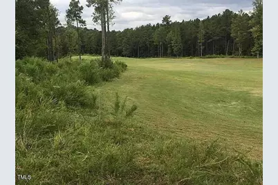 68 Larkspur Court Court, Pittsboro, NC 27312 - Photo 3