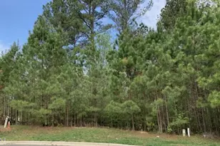 68 Larkspur Ct Ct, Pittsboro, NC 27312 - Photo 1