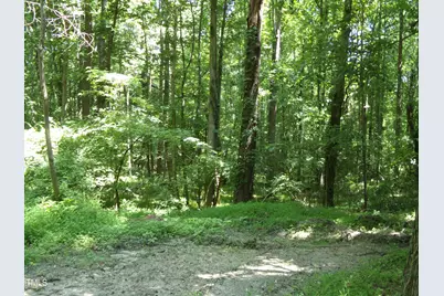 2764 Nc-98, Louisburg, NC 27549 - Photo 3