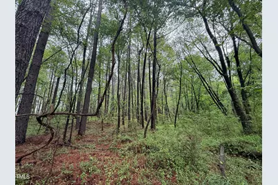0 Stallings Mill Road, Louisburg, NC 27549 - Photo 11
