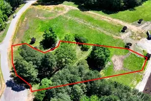 429 Shinleaf Pond Trl, Raleigh, NC 27614 - Photo 5