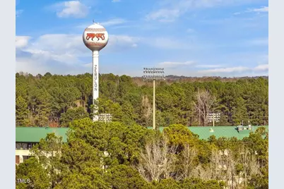 612 Hipwood Drive, Zebulon, NC 27597 - Photo 29