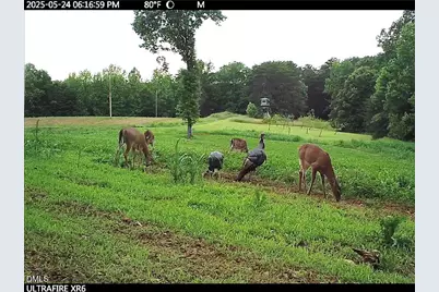 390 Line Creek Farm Road, Yanceyville, NC 27379 - Photo 79