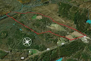 390 Line Creek Farm Rd, Yanceyville, NC 27379 - Photo 77