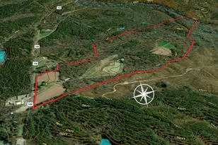 390 Line Creek Farm Rd, Yanceyville, NC 27379 - Photo 89