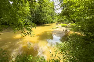 390 Line Creek Farm Rd, Yanceyville, NC 27379 - Photo 97