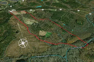 390 Line Creek Farm Rd, Yanceyville, NC 27379 - Photo 83