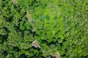 390 Line Creek Farm Rd, Yanceyville, NC 27379 - Photo 95