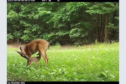 390 Line Creek Farm Road, Yanceyville, NC 27379 - Photo 85