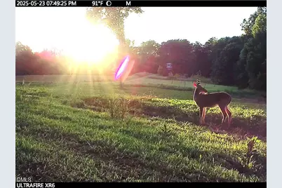 390 Line Creek Farm Road, Yanceyville, NC 27379 - Photo 91