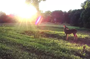 390 Line Creek Farm Rd, Yanceyville, NC 27379 - Photo 91