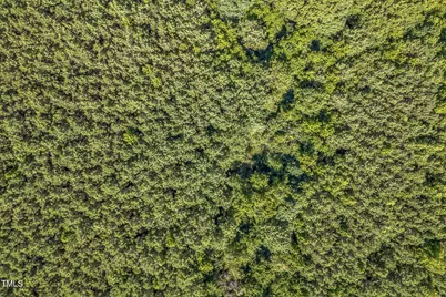 0 W River Road, Franklinton, NC 27525 - Photo 5