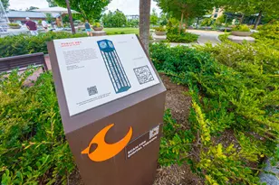 802 Warren Ave, Cary, NC 27511 - Photo 25