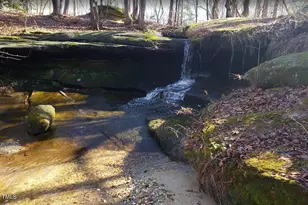 1125 Dartford Grn Pl, Wake Forest, NC 27587 - Photo 43