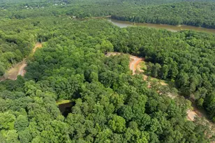 6736 Brixley Crst Ct, Raleigh, NC 27614 - Photo 37