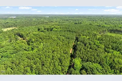 0 Pool Rock Plantation Lane, Henderson, NC 27537 - Photo 17