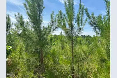 0 Bonlle Bennett Road, Bear Creek, NC 27344 - Photo 11