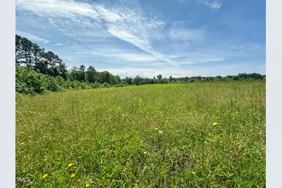 0 Bonlle Bennett Road, Bear Creek, NC 27344 - Photo 19