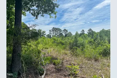 0 Bonlle Bennett Road, Bear Creek, NC 27344 - Photo 9
