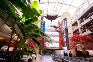 6422 Tanner Oak Ln, Raleigh, NC 27613 - Photo 49