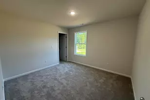 299 Starry Sky Dr, Benson, NC 27504 - Photo 15