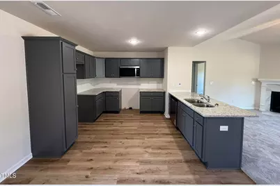 299 Starry Sky Drive, Benson, NC 27504 - Photo 9