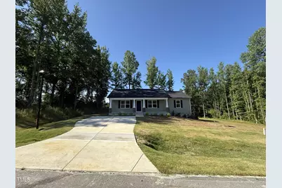 299 Starry Sky Drive, Benson, NC 27504 - Photo 1