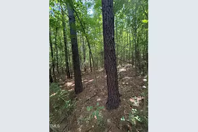 190 Louise Jenkins Road, Moncure, NC 27559 - Photo 5