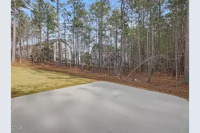 49 Cloudview Court, Pittsboro, NC 27312 - Photo 45