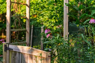 8200 Bromley Rd, Hillsborough, NC 27278 - Photo 75