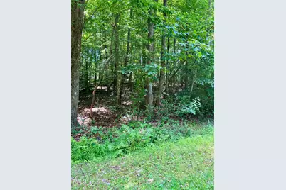 106 Cherokee Drive, Louisburg, NC 27549 - Photo 3