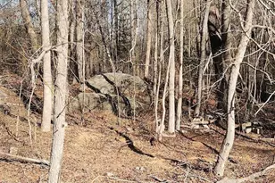 421 General Green Rd, Kittrell, NC 27544 - Photo 7