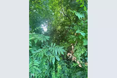 421 W Holt Street, Mebane, NC 27302 - Photo 3