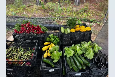 4008 Old Nc 86, Hillsborough, NC 27278 - Photo 29