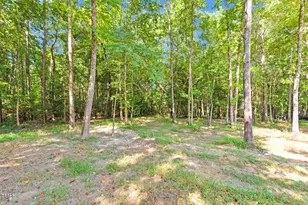 1004 Snow Peak Ct, Raleigh, NC 27603 - Photo 59