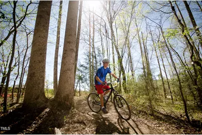 1217 Barreto Drive, Wendell, NC 27591 - Photo 33