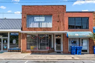 118 S Chatham Ave, Siler City, NC 27344 - Photo 1