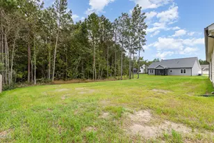 602 Tuscany Cir, Princeton, NC 27569 - Photo 31